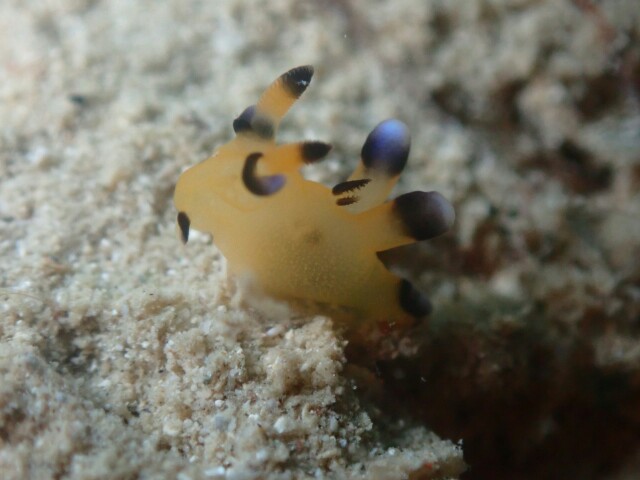 f:id:takedive1988:20230320173900j:image