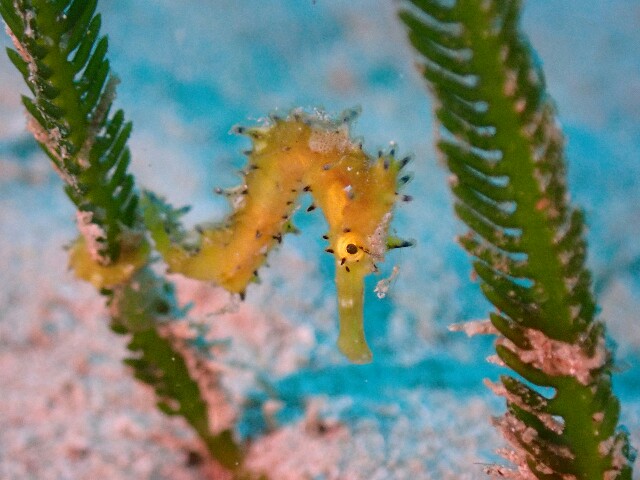 f:id:takedive1988:20230320173936j:image