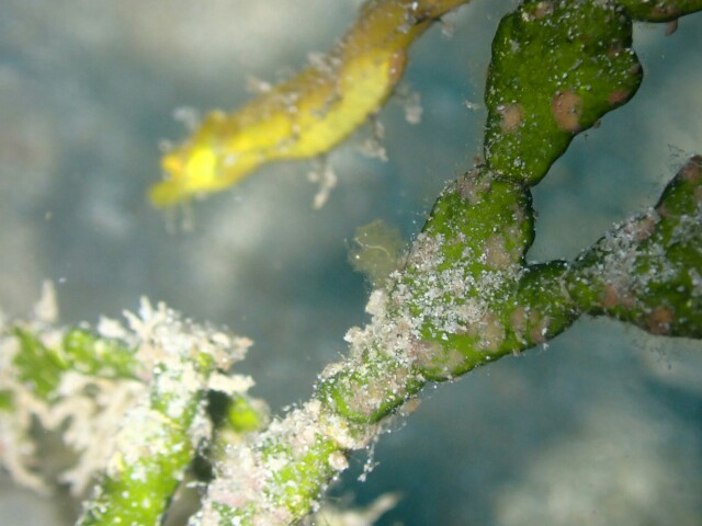 f:id:takedive1988:20230320174013j:image