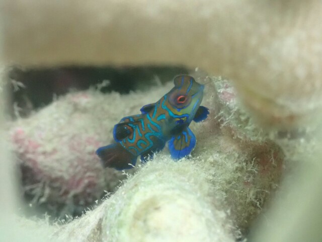 f:id:takedive1988:20230320174039j:image