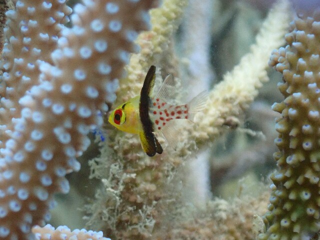 f:id:takedive1988:20230320174051j:image