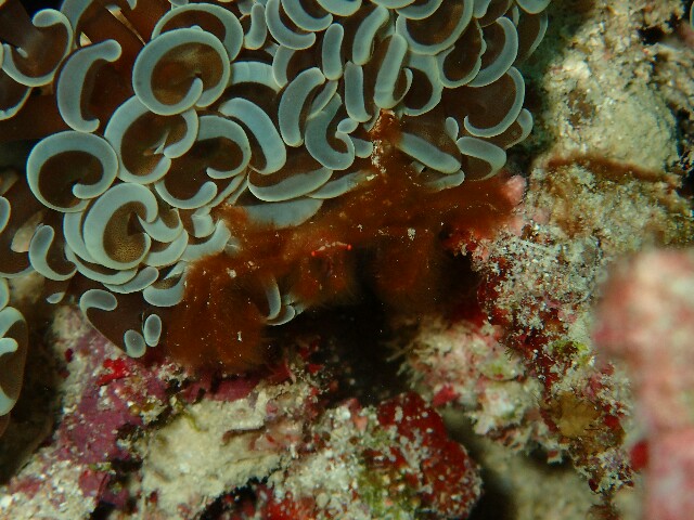 f:id:takedive1988:20230321172742j:image