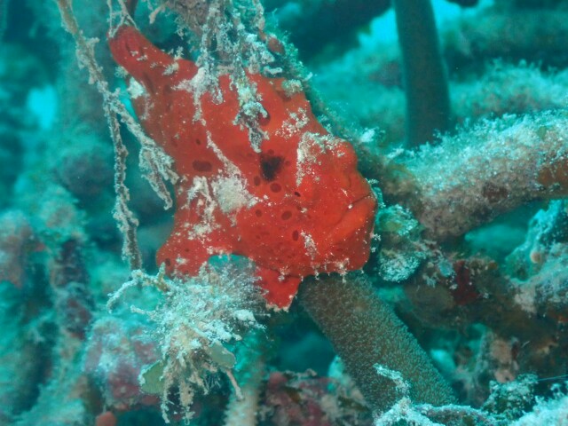 f:id:takedive1988:20230321172910j:image
