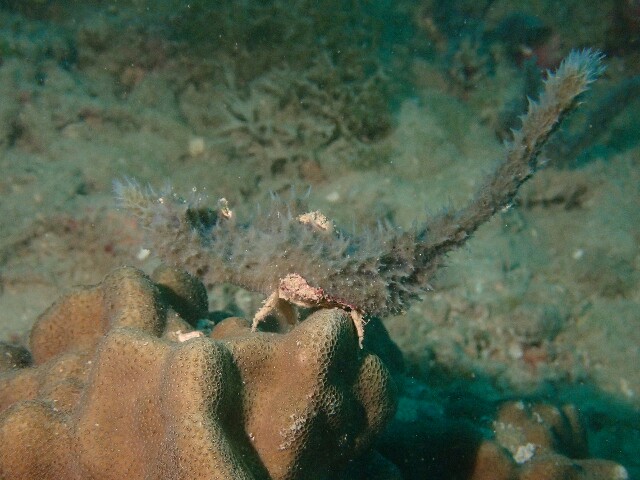 f:id:takedive1988:20230402210149j:image