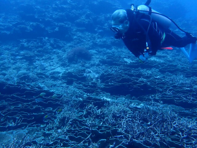 f:id:takedive1988:20230413165802j:image
