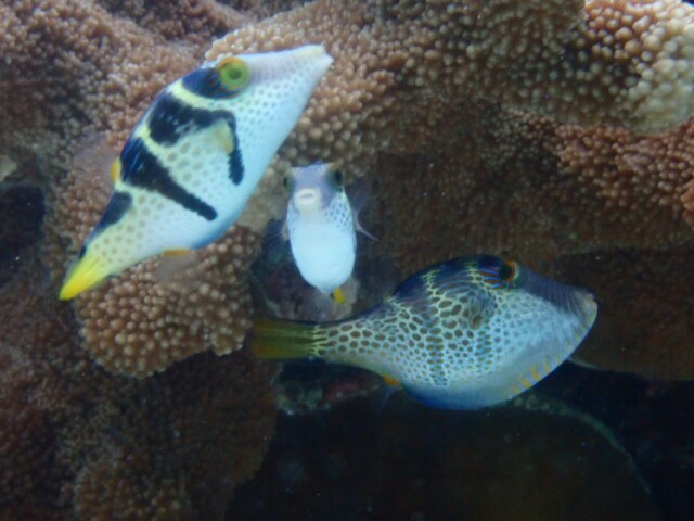 f:id:takedive1988:20230414204151j:image f:id:takedive1988:20230414204151j:image