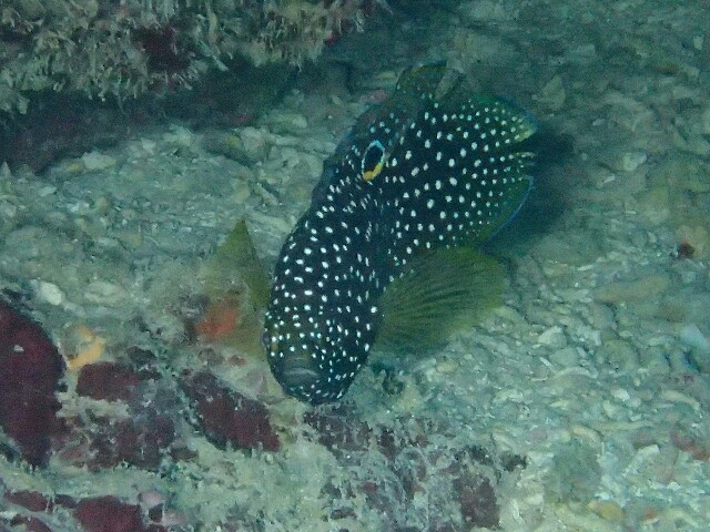 f:id:takedive1988:20230414204541j:image f:id:takedive1988:20230414204541j:image