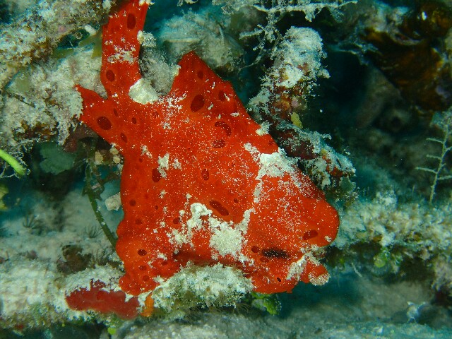 f:id:takedive1988:20230426192016j:image