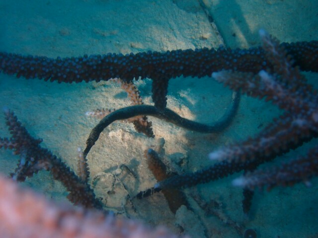 f:id:takedive1988:20230430182022j:image