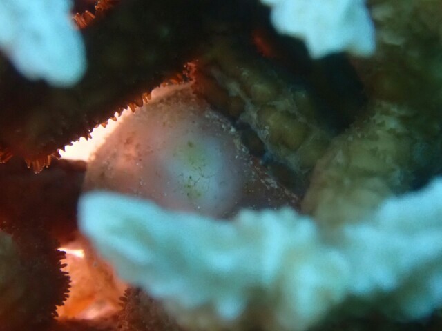 f:id:takedive1988:20230430182039j:image