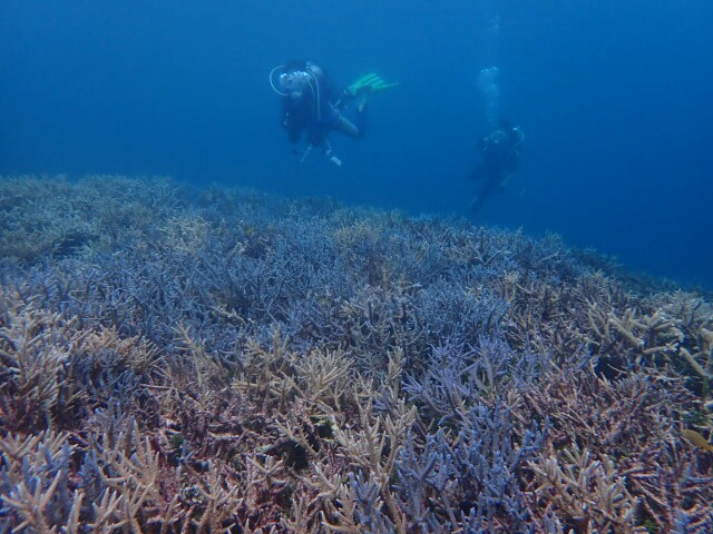 f:id:takedive1988:20230430182146j:image