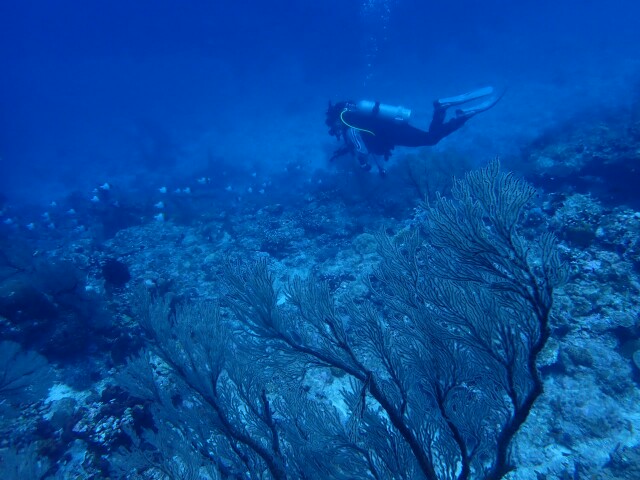 f:id:takedive1988:20230502192311j:image