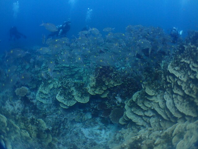 f:id:takedive1988:20230502192502j:image