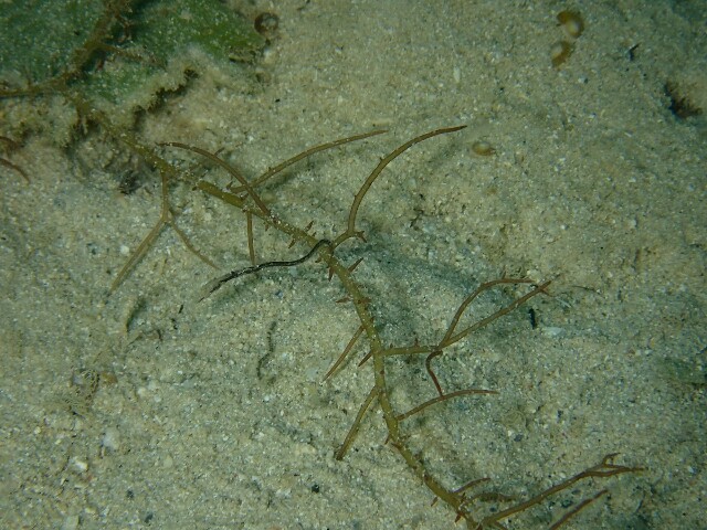 f:id:takedive1988:20230516074441j:image