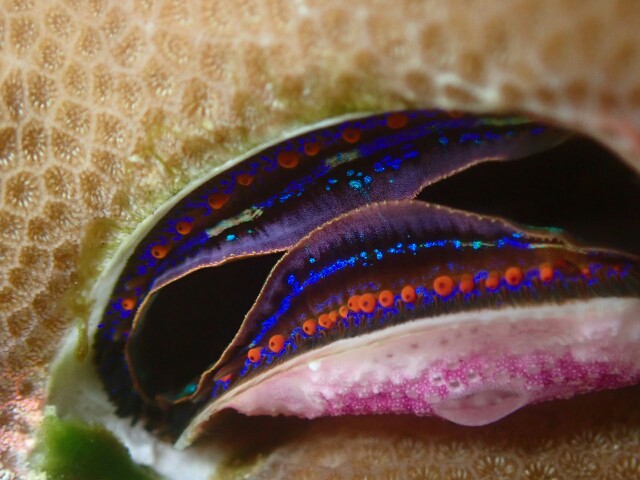 f:id:takedive1988:20230516193533j:image
