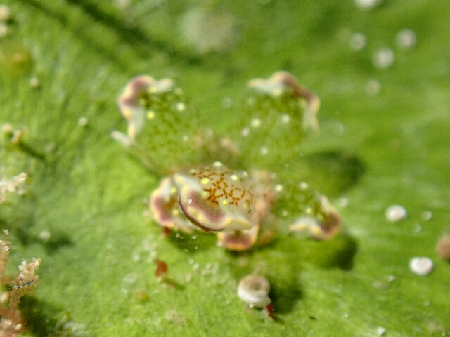 f:id:takedive1988:20230516193555j:image