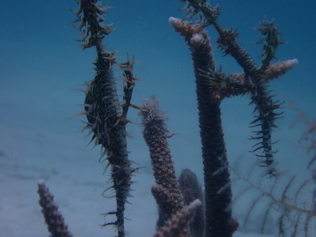 f:id:takedive1988:20230605195023j:image f:id:takedive1988:20230605195023j:image