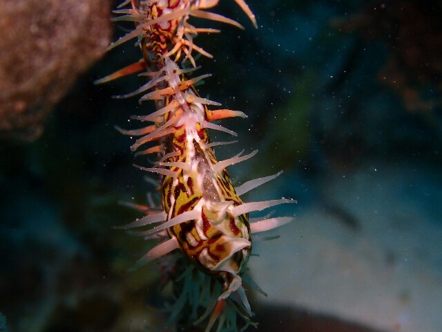 f:id:takedive1988:20230607230604j:image