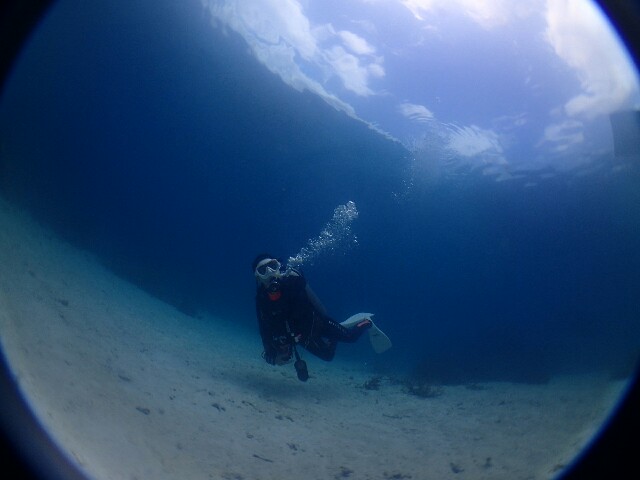 f:id:takedive1988:20230607230614j:image