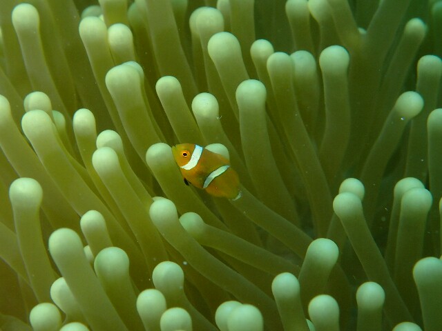 f:id:takedive1988:20230607230711j:image