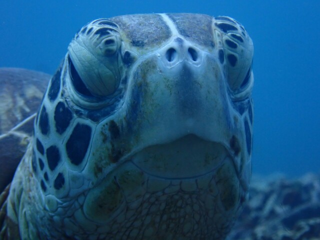 f:id:takedive1988:20230609194640j:image