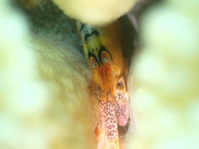 f:id:takedive1988:20230613073738j:image