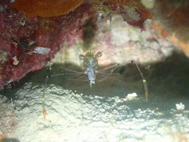 f:id:takedive1988:20230616162003j:image