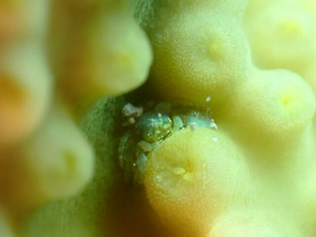 f:id:takedive1988:20230616162016j:image