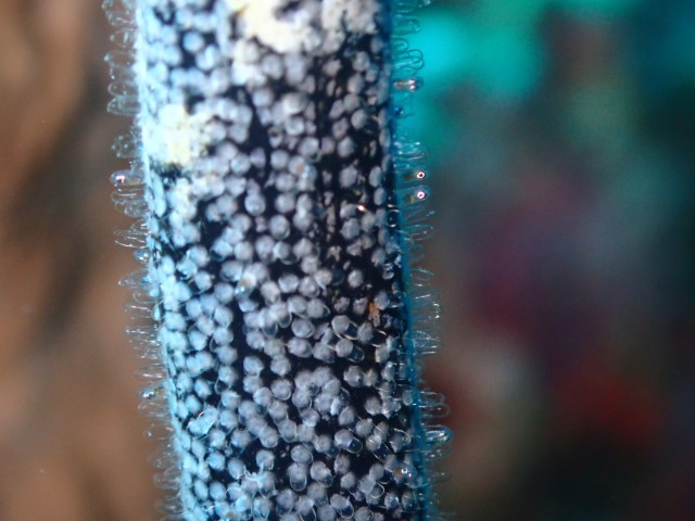 f:id:takedive1988:20230706172443j:image