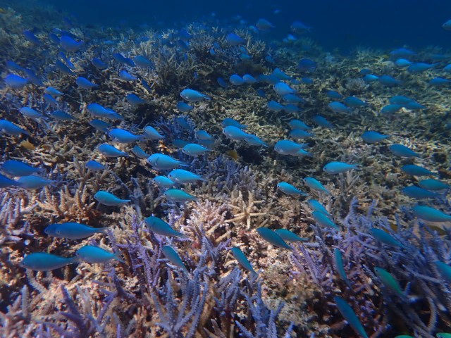 f:id:takedive1988:20230706172520j:image