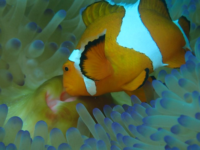 f:id:takedive1988:20230708173938j:image