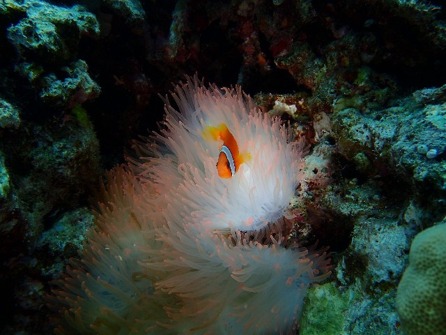 f:id:takedive1988:20230708174024j:image