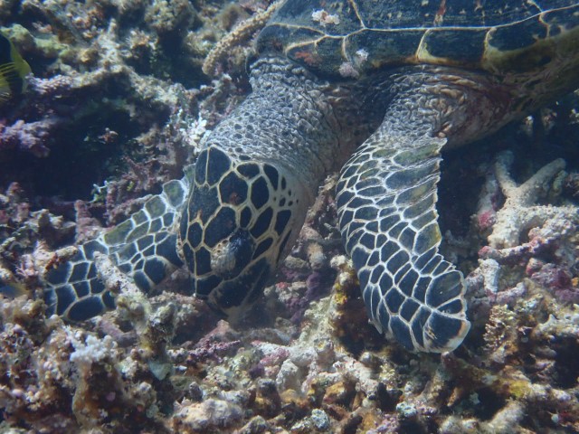 f:id:takedive1988:20230708174043j:image