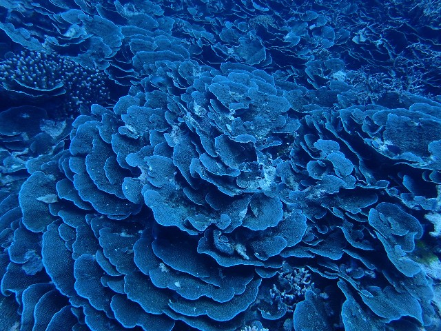 f:id:takedive1988:20230708174107j:image