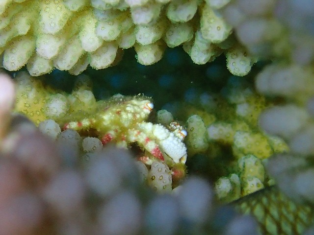 f:id:takedive1988:20230708174131j:image