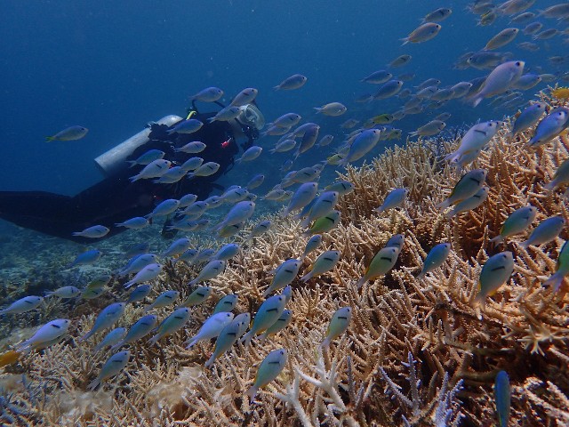 f:id:takedive1988:20230714215140j:image