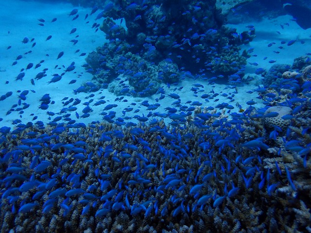 f:id:takedive1988:20230720092729j:image