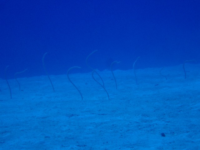 f:id:takedive1988:20230720092814j:image