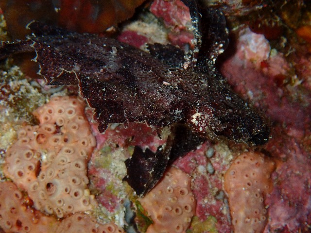f:id:takedive1988:20230720092828j:image
