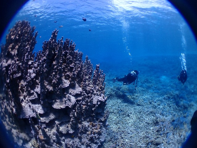 f:id:takedive1988:20230720092859j:image