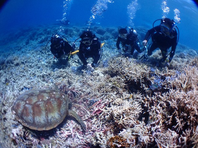 f:id:takedive1988:20230720092913j:image