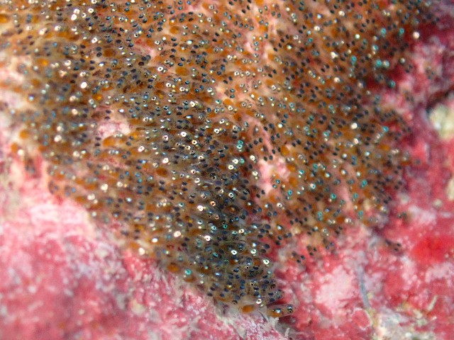 f:id:takedive1988:20230720092929j:image