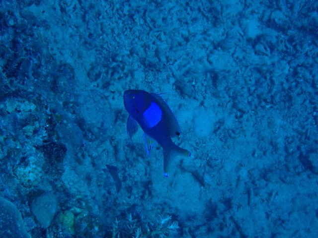 f:id:takedive1988:20230720093032j:image