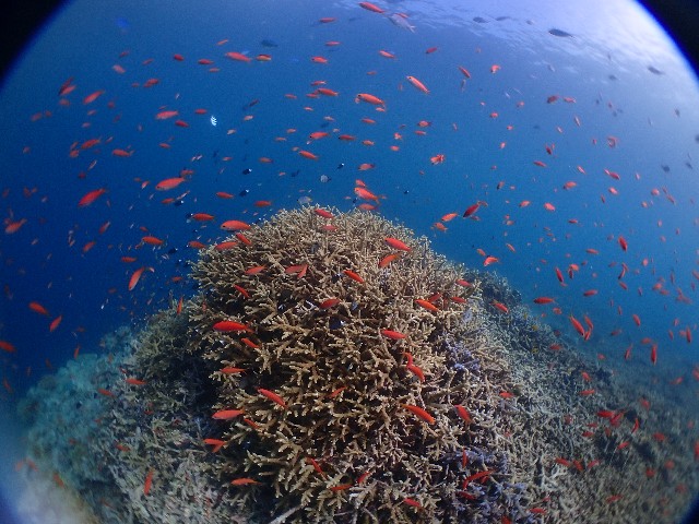 f:id:takedive1988:20230720180905j:image