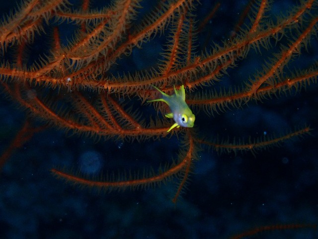 f:id:takedive1988:20230720181607j:image