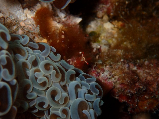 f:id:takedive1988:20230720181637j:image