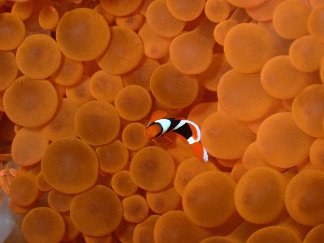 f:id:takedive1988:20230720181830j:image