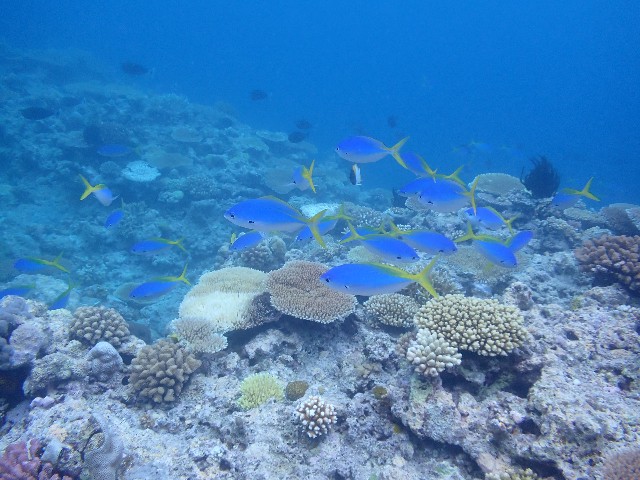 f:id:takedive1988:20230720181919j:image