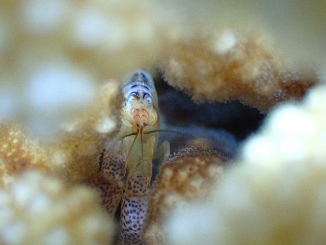 f:id:takedive1988:20230720182003j:image