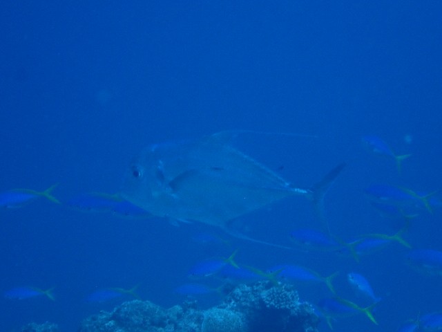 f:id:takedive1988:20230731180930j:image